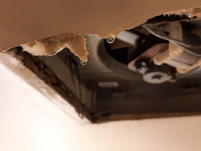 Professional water damage restoration jacksonville services in Jacksonville - Water Damage Restoration Jacksonville